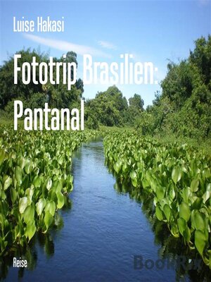 cover image of Fototrip Brasilien--Pantanal
